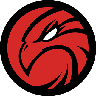 Logo Thème Falcons